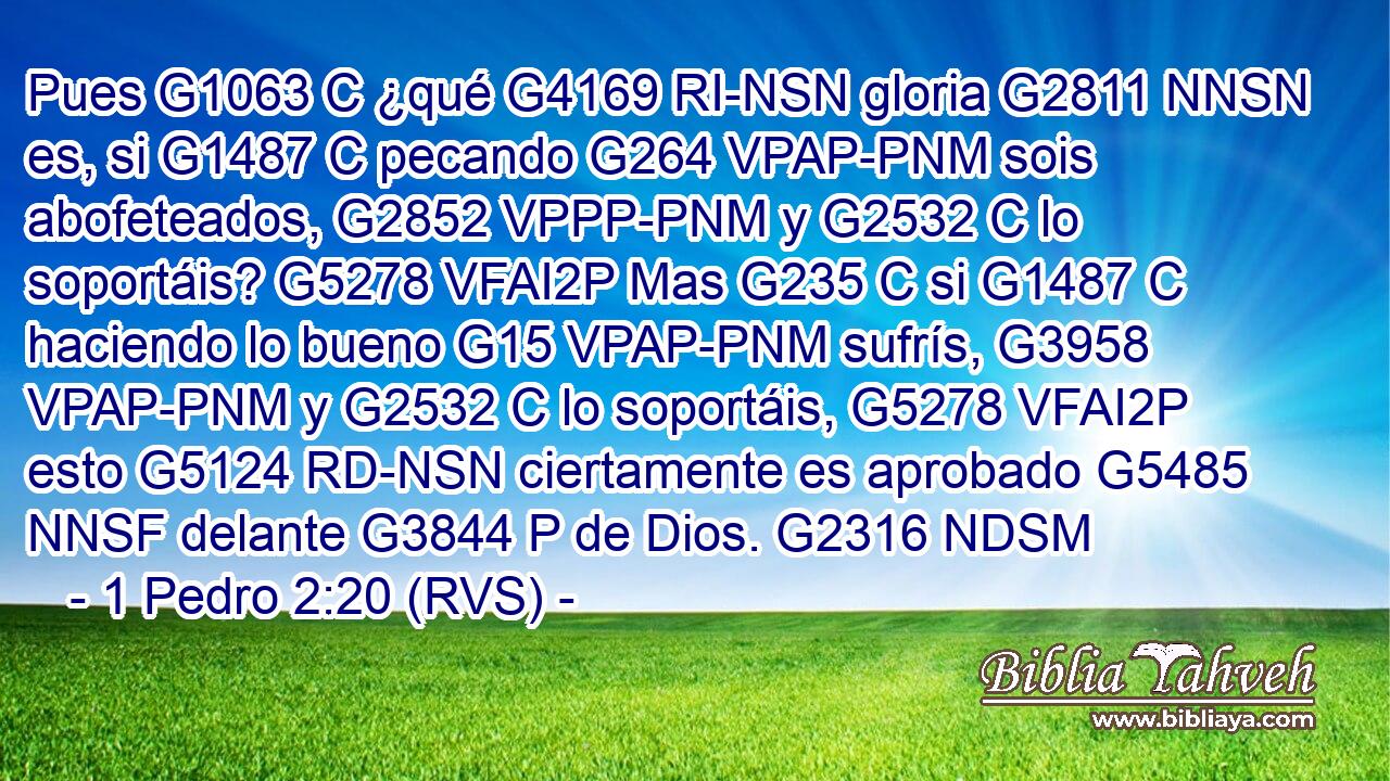 Pues G1063 C ¿qué G4169 RI-NSN gloria G2811 NNSN es, si G1487 C pecando G264 VPAP-PNM sois abofeteados, G2852 VPPP-PNM y G2532 C lo soportáis? G5278 VFAI2P Mas G235 C si G1487 C haciendo lo bueno G15 VPAP-PNM sufrís, G3958 VPAP-PNM y G2532 C lo soportáis, G5278 VFAI2P esto G5124 RD-NSN ciertamente es aprobado G5485 NNSF delante G3844 P de Dios. G2316 NDSM 