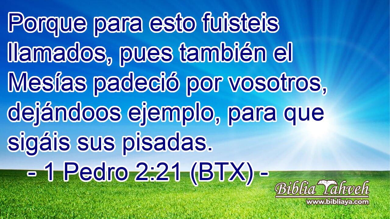 Porque para esto fuisteis llamados, pues también el Mesías padeció por vosotros, dejándoos ejemplo, para que sigáis sus pisadas.
