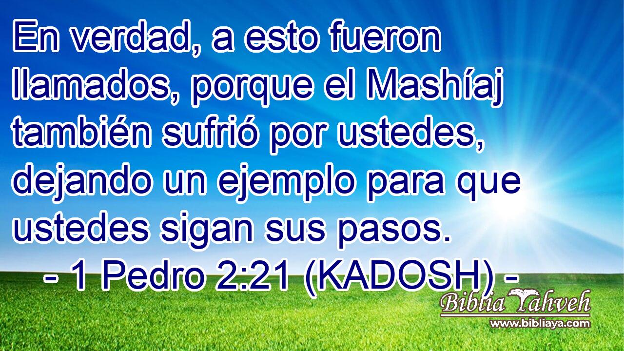  En verdad, a esto fueron llamados, porque el Mashíaj también sufrió por ustedes, dejando un ejemplo para que ustedes sigan sus pasos. 