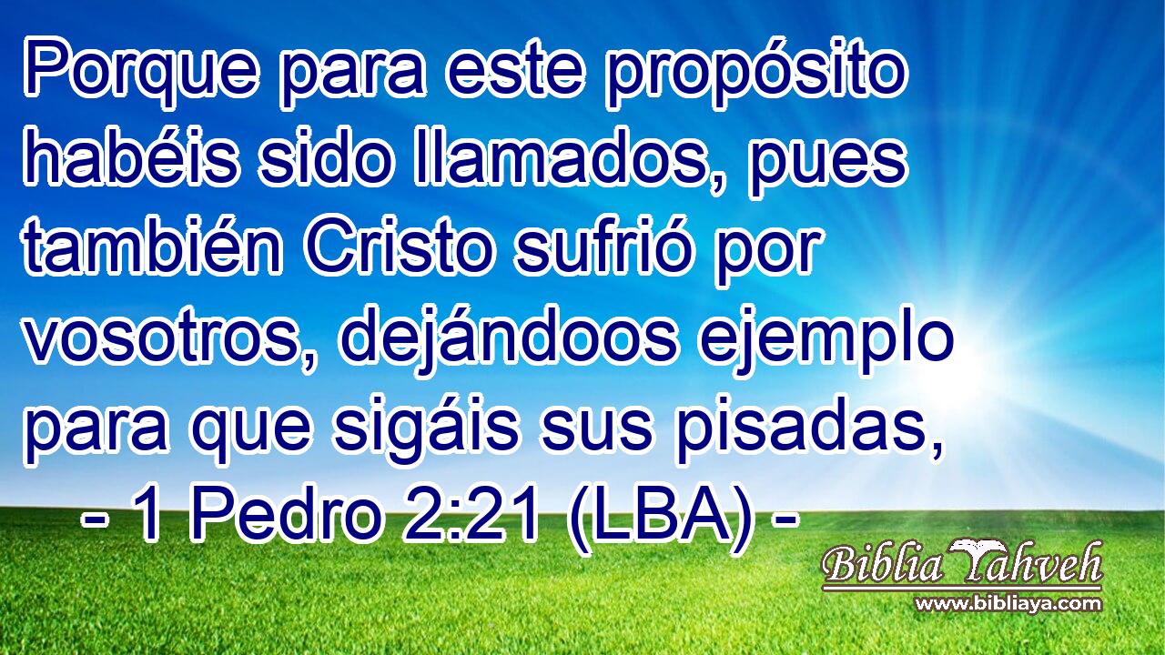 Porque para este propósito habéis sido llamados, pues también Cristo sufrió por vosotros, dejándoos ejemplo para que sigáis sus pisadas,
