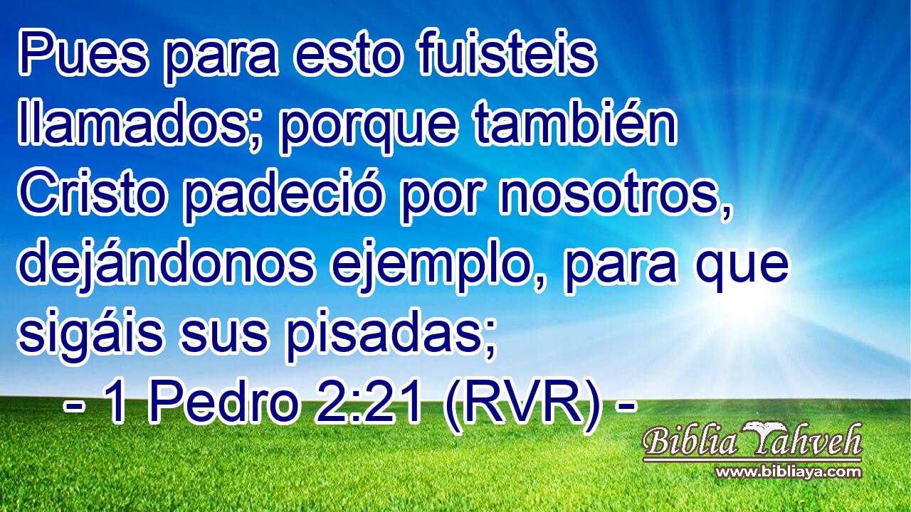 Pues para esto fuisteis llamados; porque también Cristo padeció por nosotros, dejándonos ejemplo, para que sigáis sus pisadas;