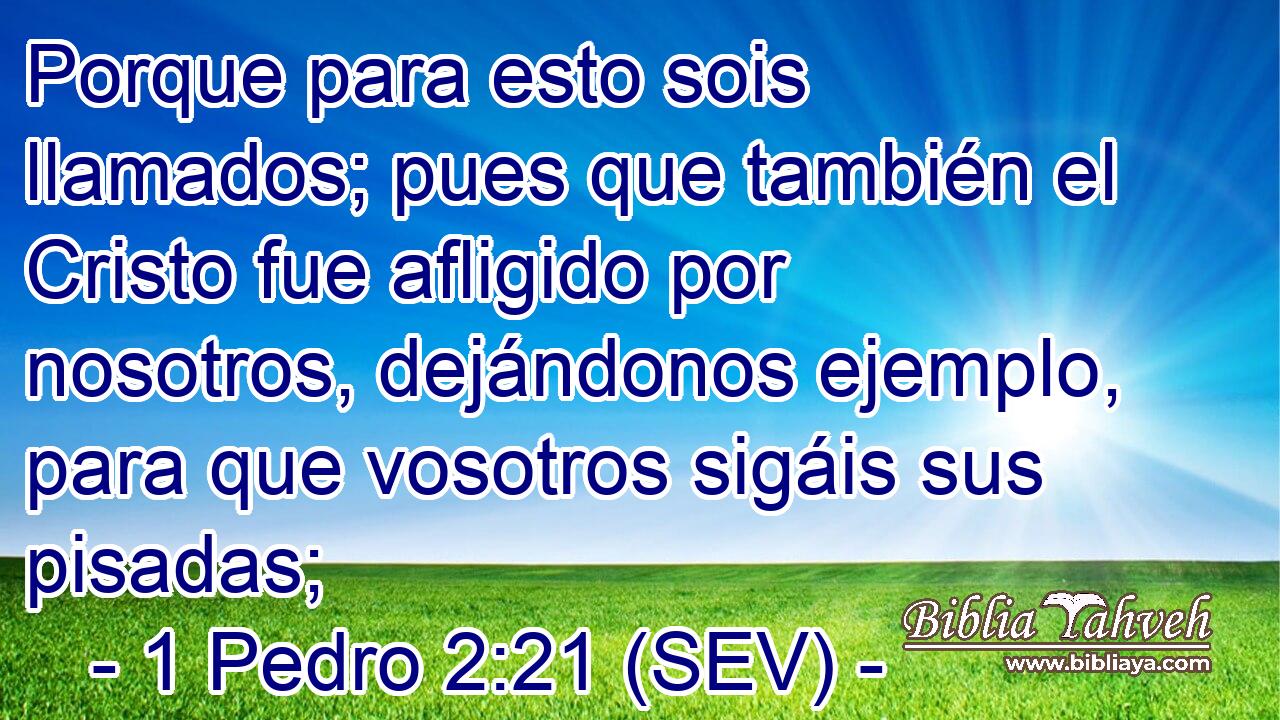 Porque para esto sois llamados; pues que también el Cristo fue afligido por nosotros, dejándonos ejemplo, para que vosotros sigáis sus pisadas;