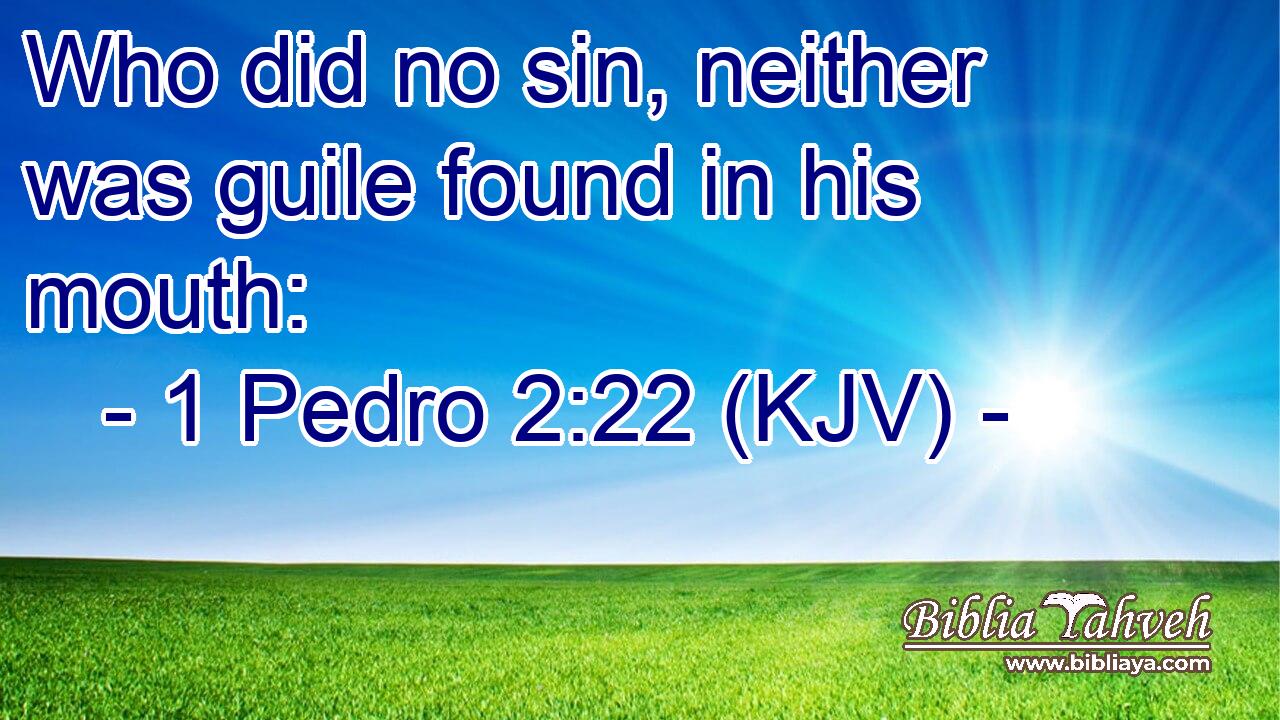 Who did no sin, neither was guile found in his mouth: