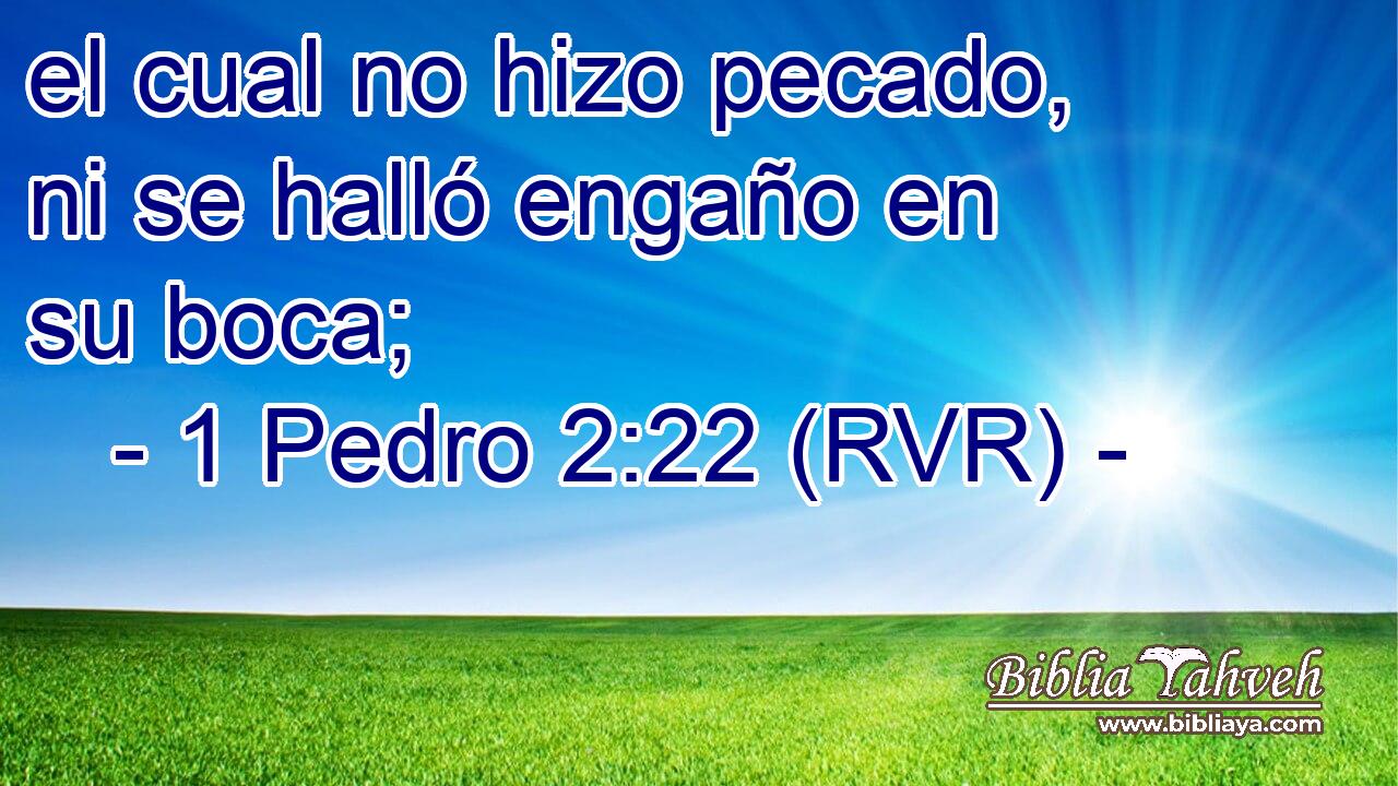 el cual no hizo pecado, ni se halló engaño en su boca;