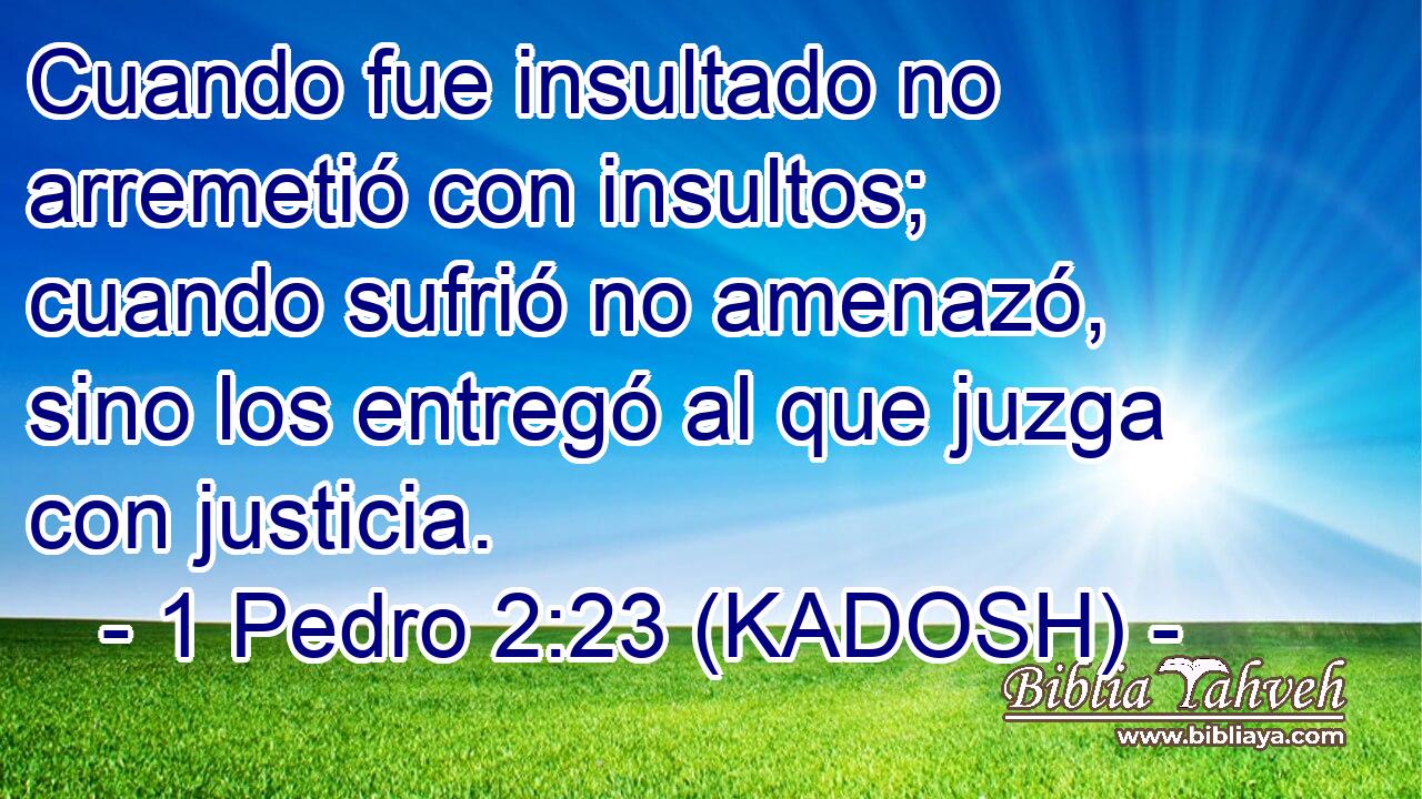  Cuando fue insultado no arremetió con insultos; cuando sufrió no amenazó, sino los entregó al que juzga con justicia. 