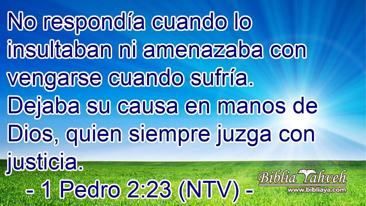 No respondía cuando lo insultaban ni amenazaba con vengarse cuando sufría. Dejaba su causa en manos de Dios, quien siempre juzga con justicia.