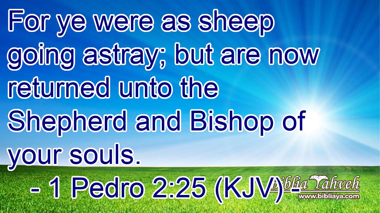 For ye were as sheep going astray; but are now returned unto the Shepherd and Bishop of your souls.