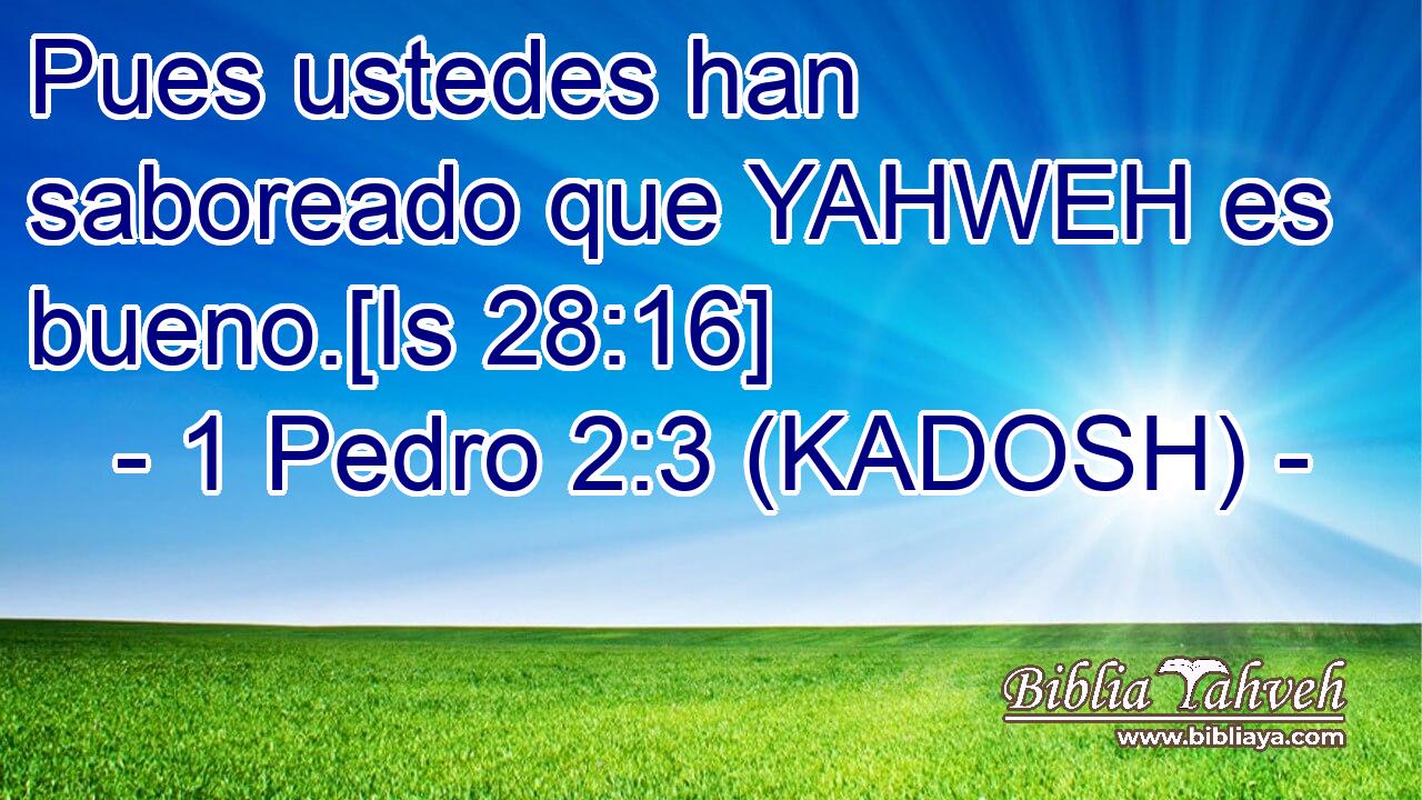  Pues ustedes han saboreado que YAHWEH es bueno.[Is 28:16] 