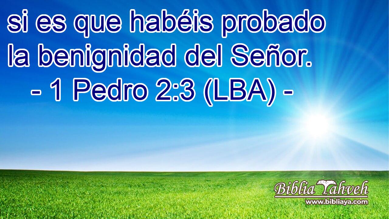 si es que habéis probado la benignidad del Señor.