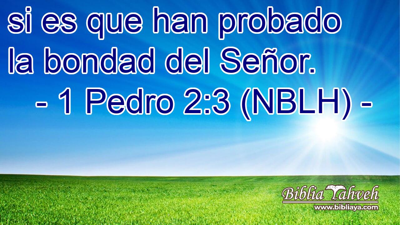  si es que han probado la bondad del Señor. 