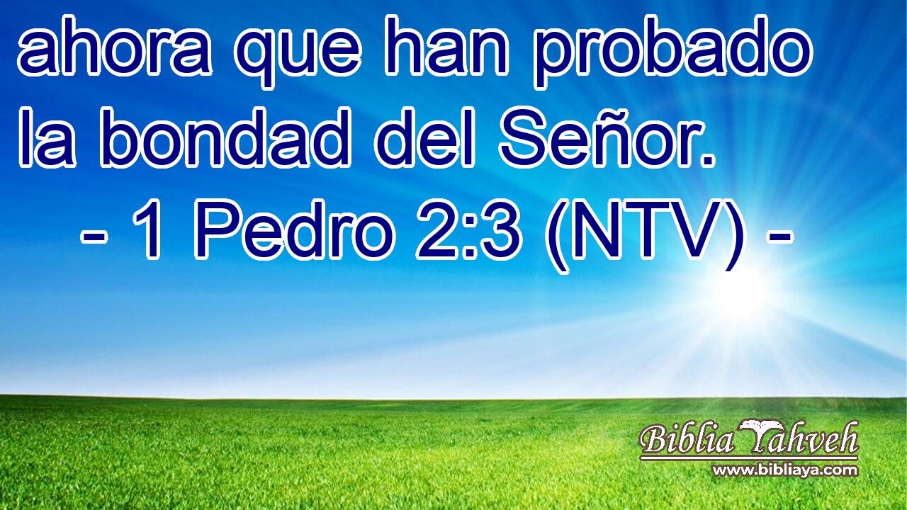 ahora que han probado la bondad del Señor.