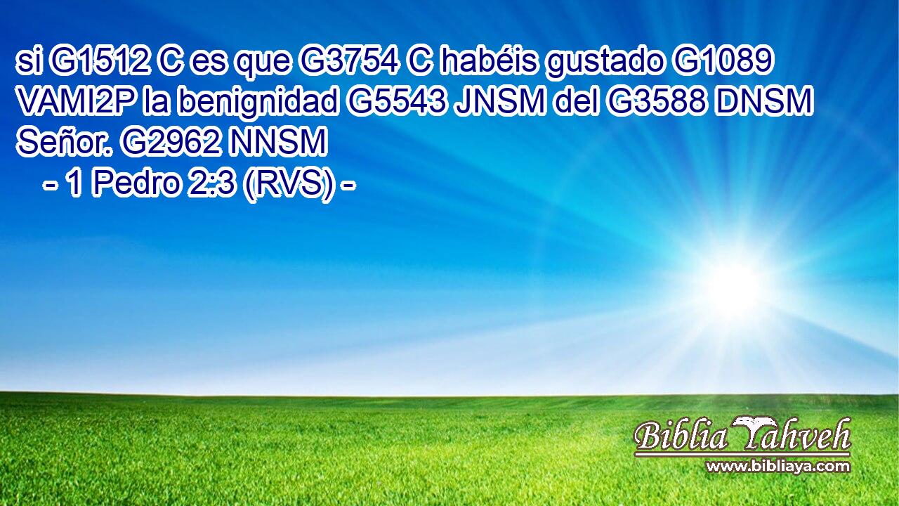 si G1512 C es que G3754 C habéis gustado G1089 VAMI2P la benignidad G5543 JNSM del G3588 DNSM Señor. G2962 NNSM 