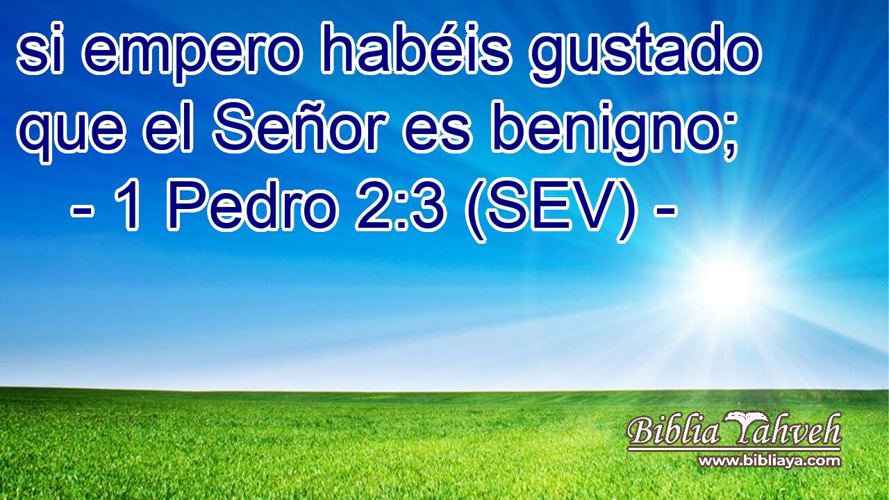 si empero habéis gustado que el Señor es benigno;