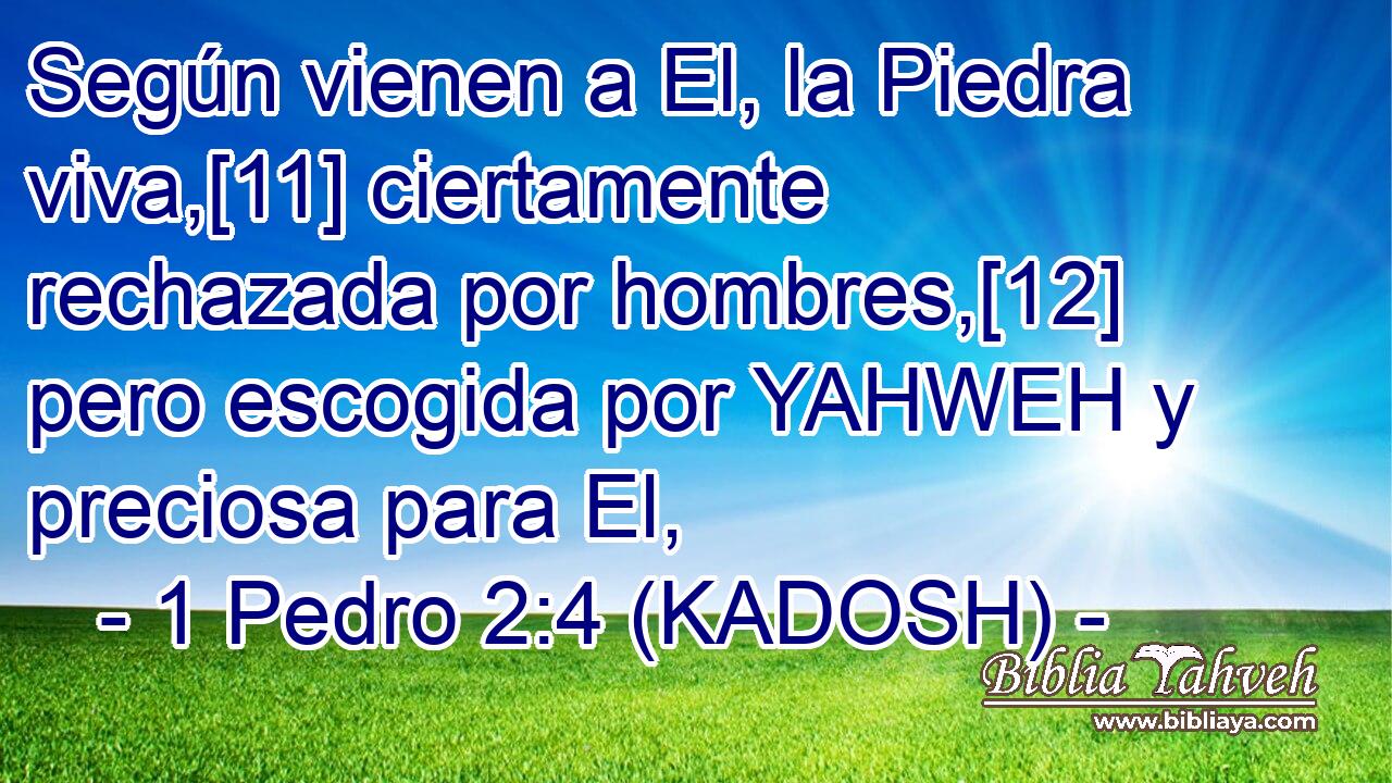 Según vienen a El, la Piedra viva,[11] ciertamente rechazada por hombres,[12] pero escogida por YAHWEH y preciosa para El, 