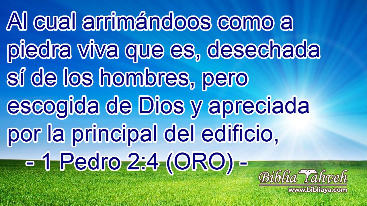  Al cual arrimándoos como a piedra viva que es, desechada sí de los hombres, pero escogida de Dios y apreciada por la principal del edificio, 