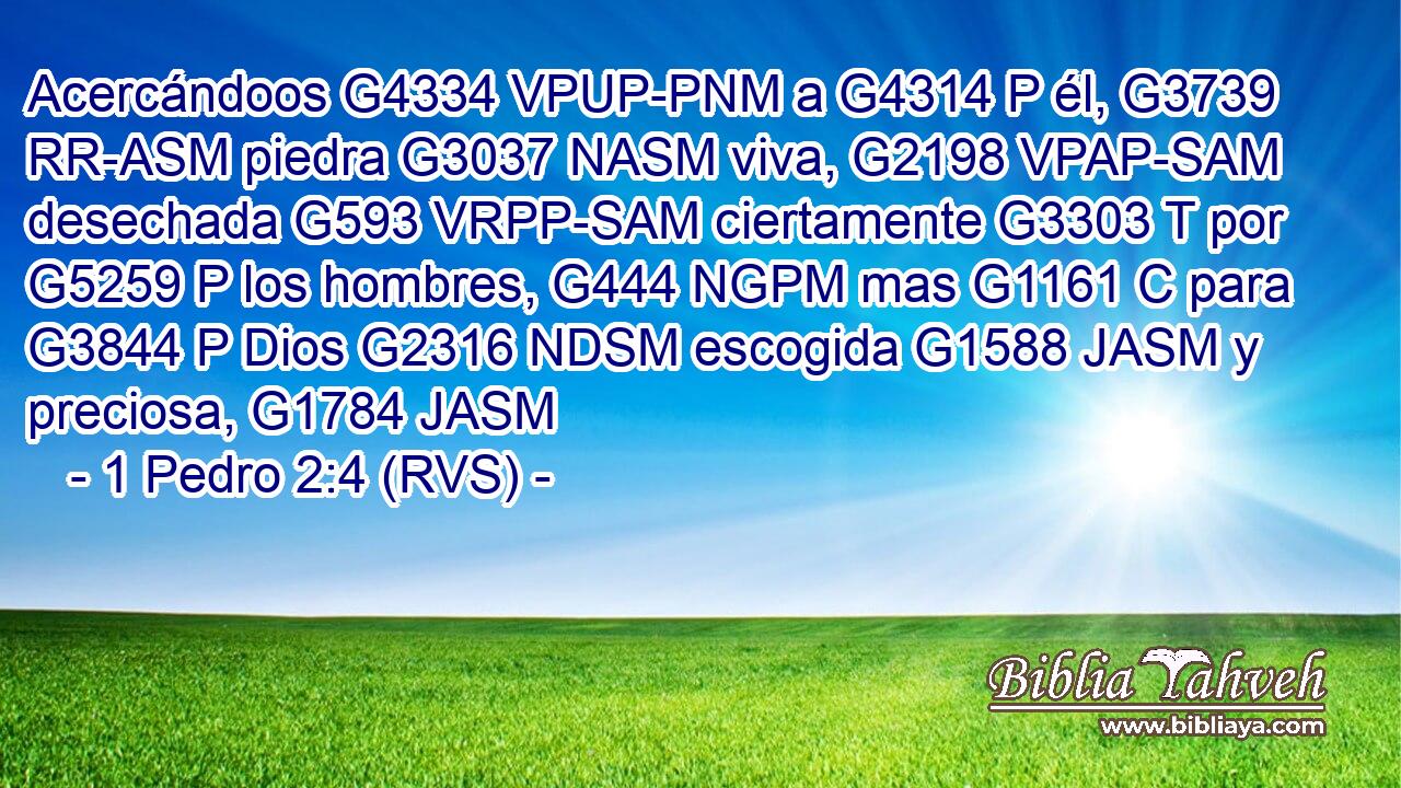 Acercándoos G4334 VPUP-PNM a G4314 P él, G3739 RR-ASM piedra G3037 NASM viva, G2198 VPAP-SAM desechada G593 VRPP-SAM ciertamente G3303 T por G5259 P los hombres, G444 NGPM mas G1161 C para G3844 P Dios G2316 NDSM escogida G1588 JASM y preciosa, G1784 JASM 