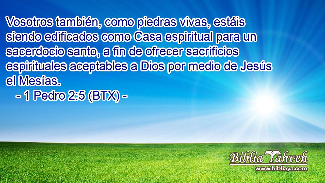 Vosotros también, como piedras vivas, estáis siendo edificados como Casa espiritual para un sacerdocio santo, a fin de ofrecer sacrificios espirituales aceptables a Dios por medio de Jesús el Mesías.