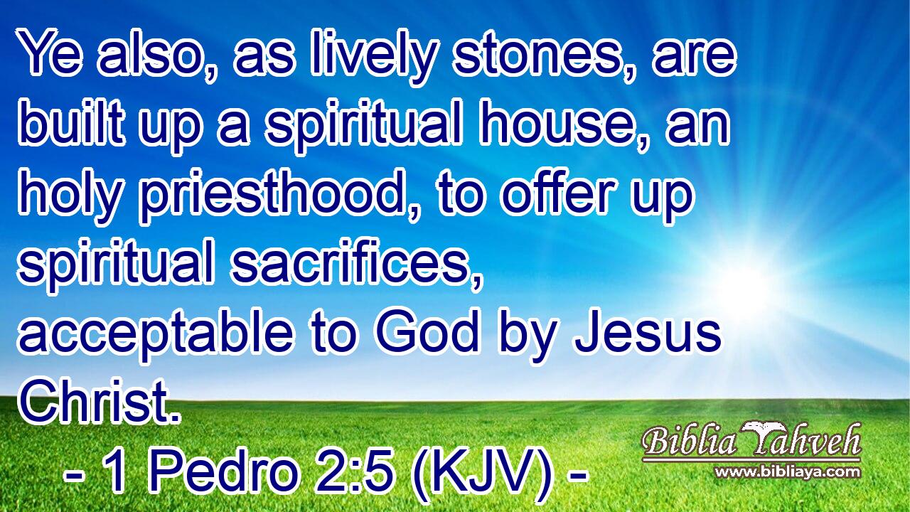Ye also, as lively stones, are built up a spiritual house, an holy priesthood, to offer up spiritual sacrifices, acceptable to God by Jesus Christ.