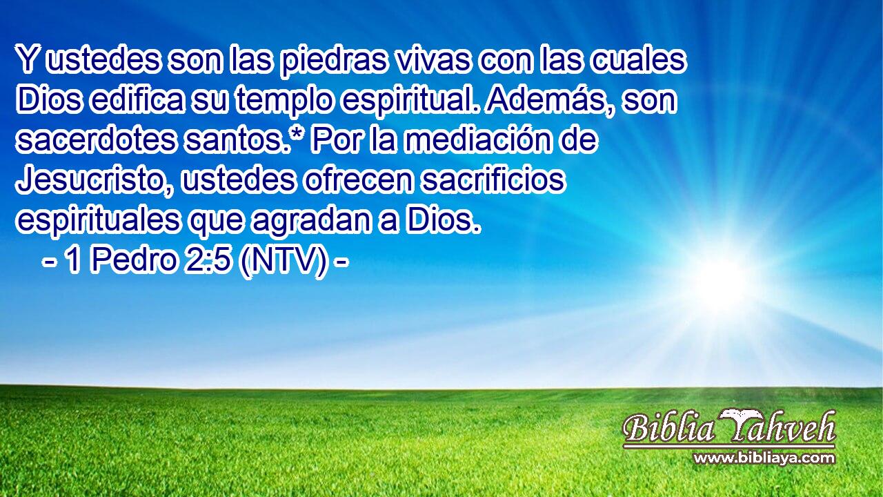 Y ustedes son las piedras vivas con las cuales Dios edifica su templo espiritual. Además, son sacerdotes santos.* Por la mediación de Jesucristo, ustedes ofrecen sacrificios espirituales que agradan a Dios.