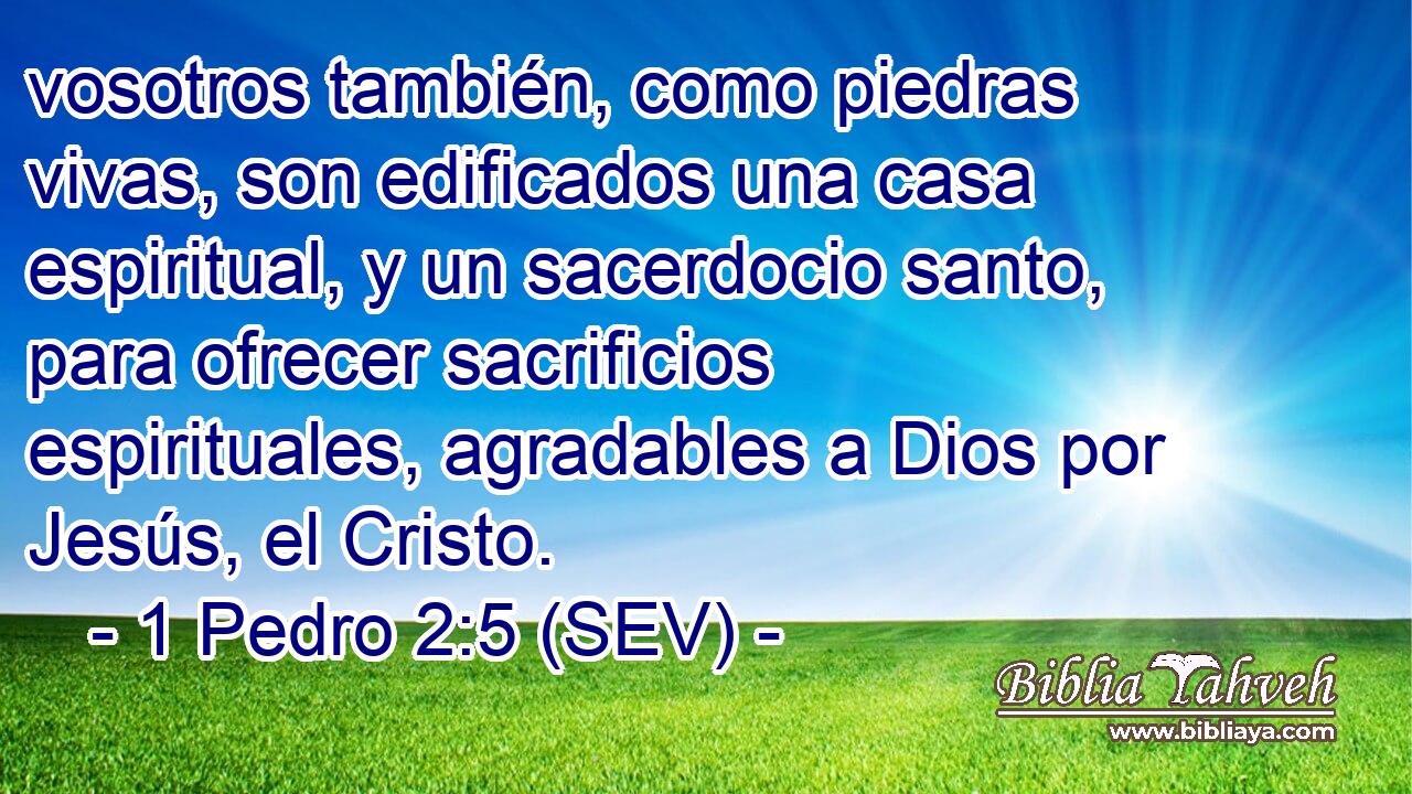 vosotros también, como piedras vivas, son edificados una casa espiritual, y un sacerdocio santo, para ofrecer sacrificios espirituales, agradables a Dios por Jesús, el Cristo.