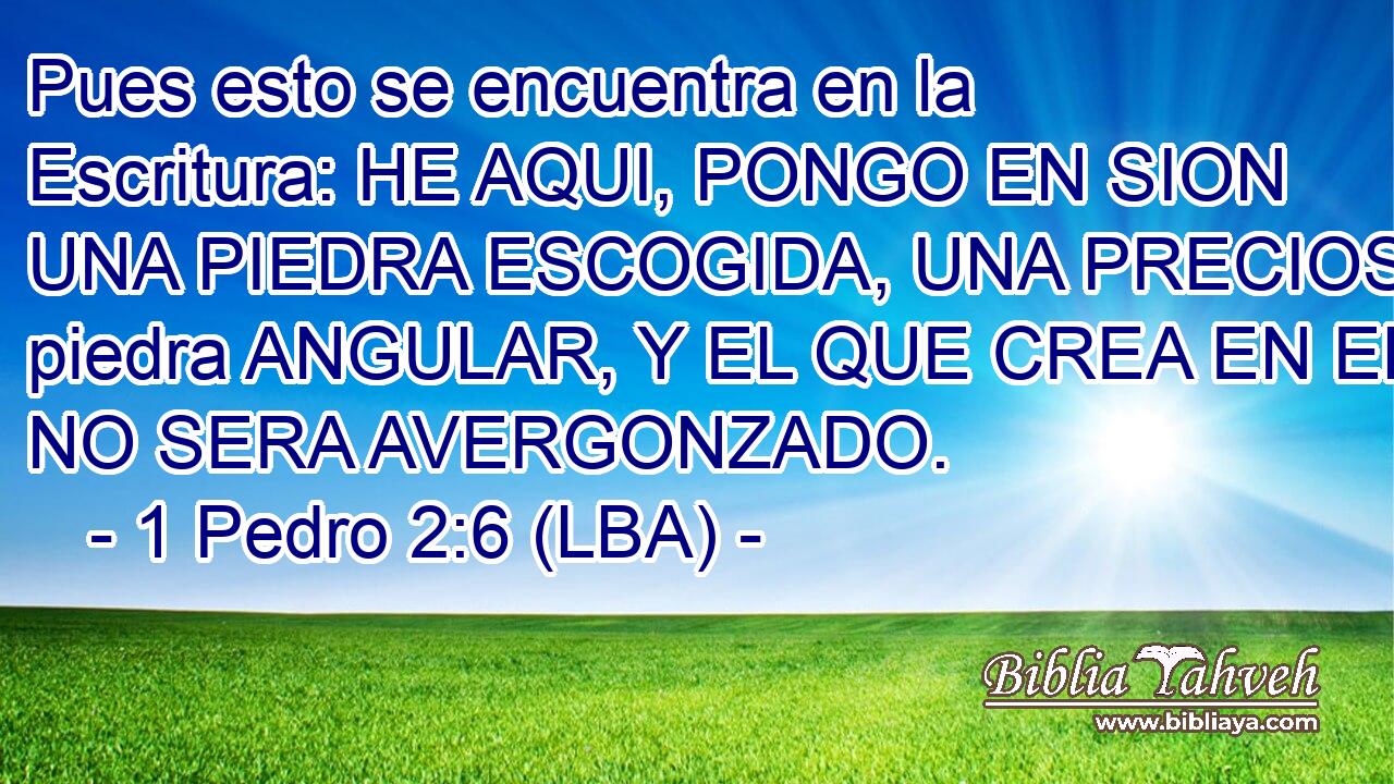 Pues esto se encuentra en la Escritura: HE AQUI, PONGO EN SION UNA PIEDRA ESCOGIDA, UNA PRECIOSA piedra ANGULAR, Y EL QUE CREA EN EL NO SERA AVERGONZADO.