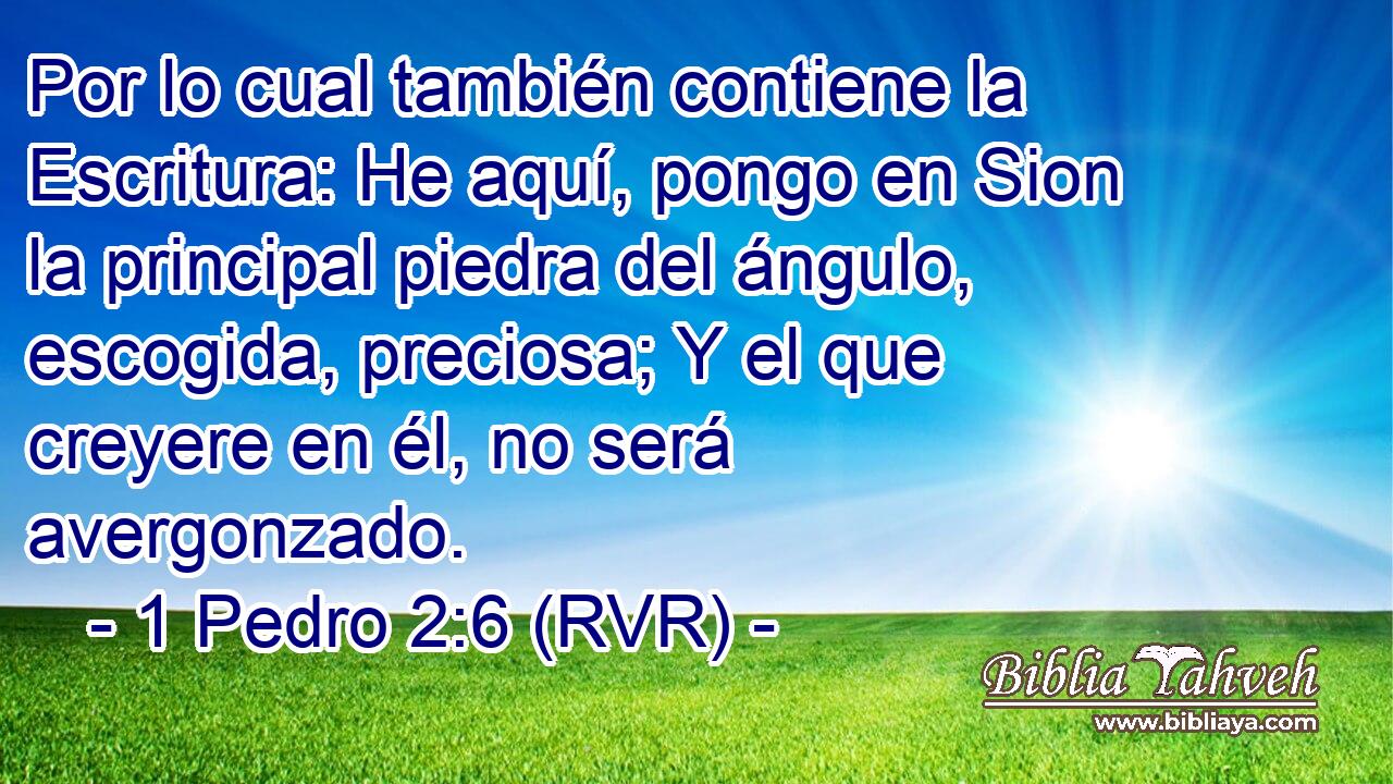 Por lo cual también contiene la Escritura: He aquí, pongo en Sion la principal piedra del ángulo, escogida, preciosa; Y el que creyere en él, no será avergonzado.