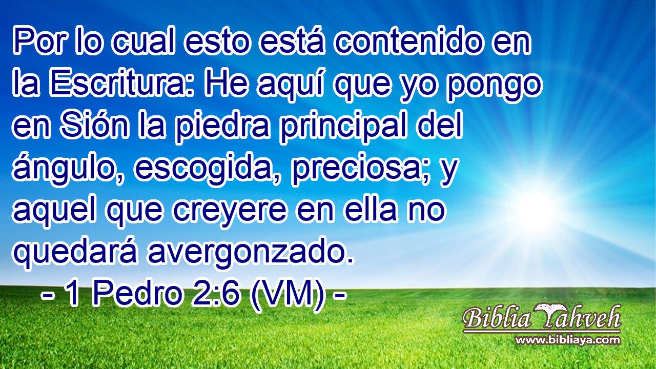  Por lo cual esto está contenido en la Escritura: He aquí que yo pongo en Sión la piedra principal del ángulo, escogida, preciosa; y aquel que creyere en ella no quedará avergonzado. 