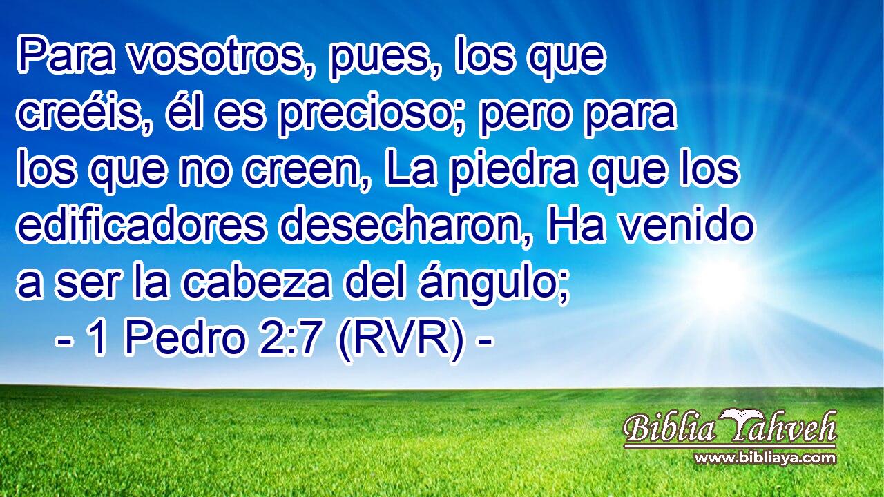 Para vosotros, pues, los que creéis, él es precioso; pero para los que no creen, La piedra que los edificadores desecharon, Ha venido a ser la cabeza del ángulo;