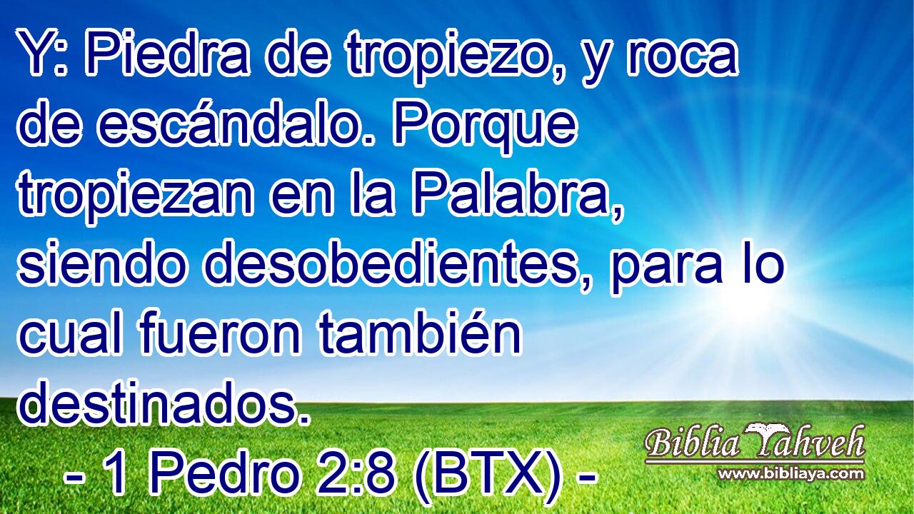 Y: Piedra de tropiezo, y roca de escándalo. Porque tropiezan en la Palabra, siendo desobedientes, para lo cual fueron también destinados.