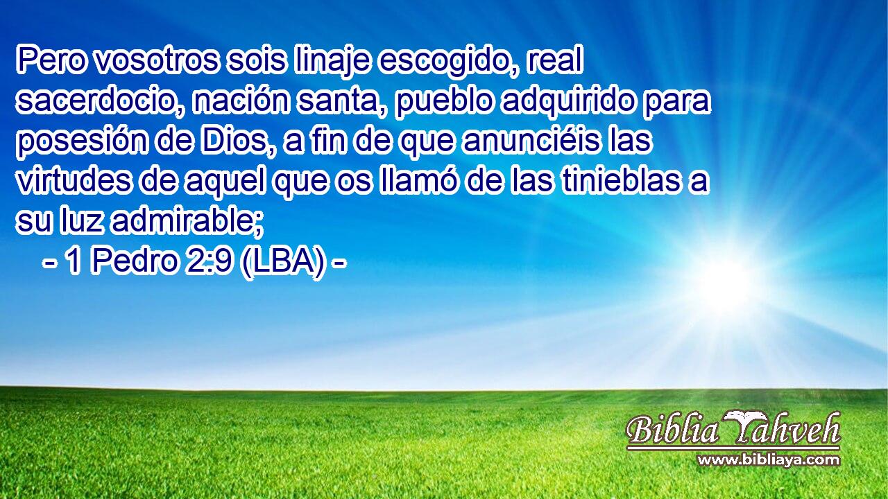 Pero vosotros sois linaje escogido, real sacerdocio, nación santa, pueblo adquirido para posesión de Dios, a fin de que anunciéis las virtudes de aquel que os llamó de las tinieblas a su luz admirable;