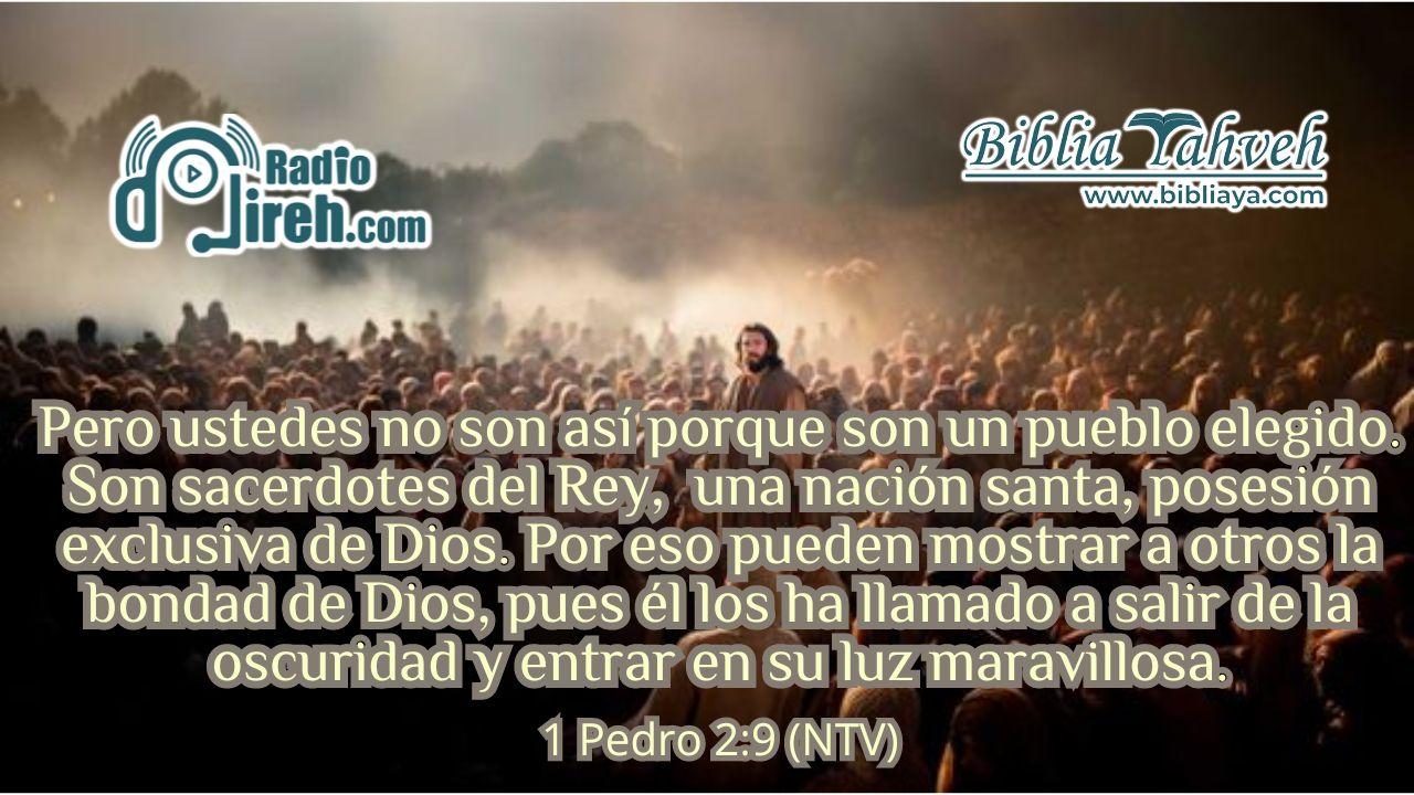 Pero ustedes no son así porque son un pueblo elegido. Son sacerdotes del Rey,* una nación santa, posesión exclusiva de Dios. Por eso pueden mostrar a otros la bondad de Dios, pues él los ha llamado a salir de la oscuridad y entrar en su luz maravillosa.