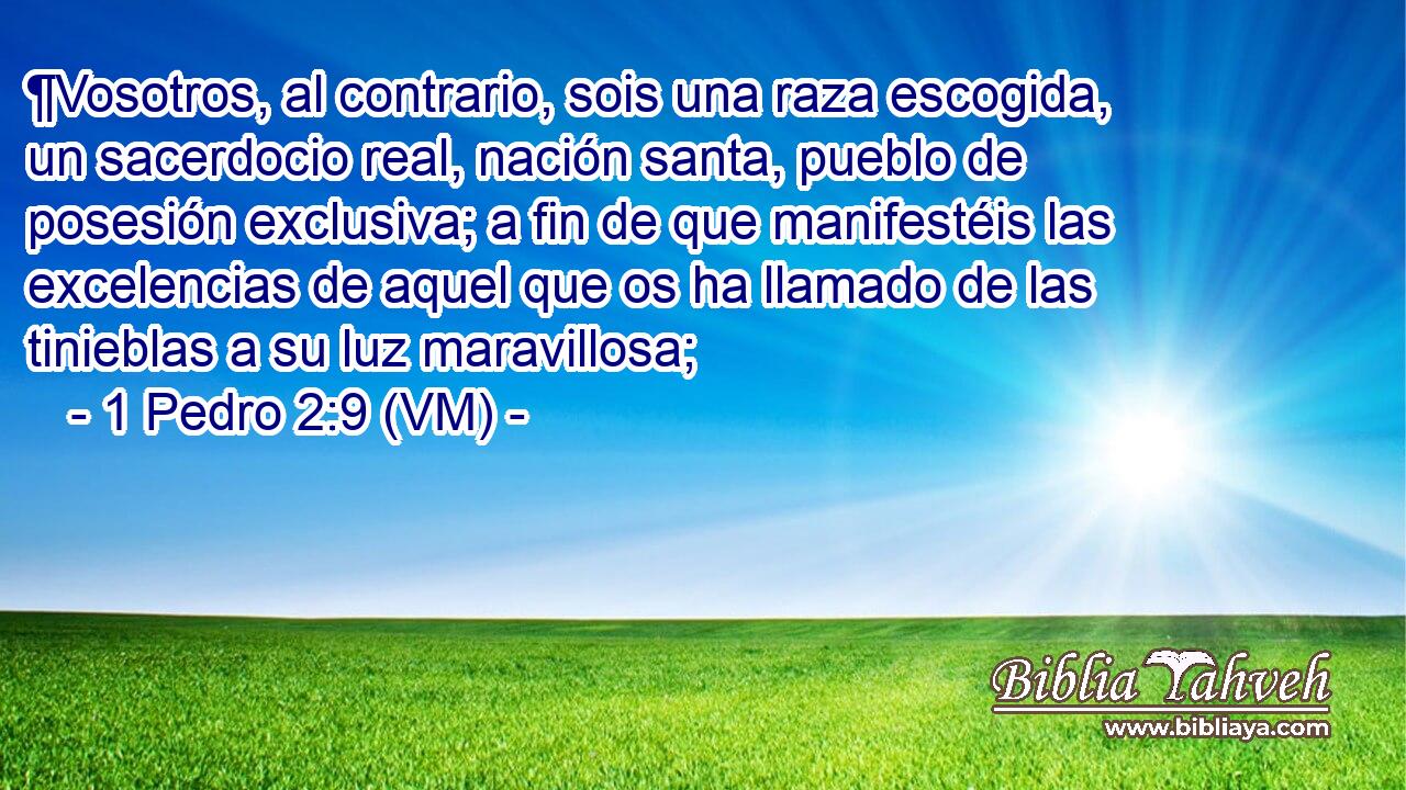  ¶Vosotros, al contrario, sois una raza escogida, un sacerdocio real, nación santa, pueblo de posesión exclusiva; a fin de que manifestéis las excelencias de aquel que os ha llamado de las tinieblas a su luz maravillosa; 