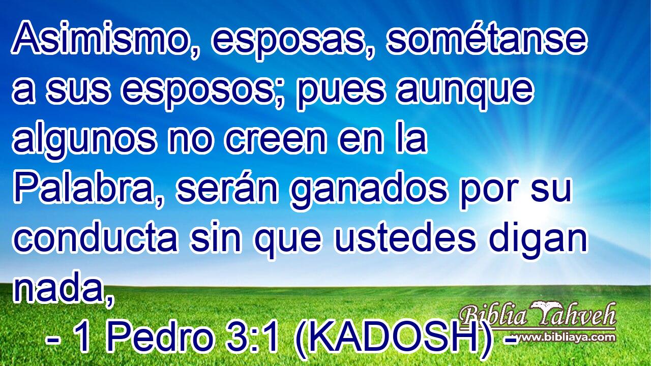  Asimismo, esposas, sométanse a sus esposos; pues aunque algunos no creen en la Palabra, serán ganados por su conducta sin que ustedes digan nada, 