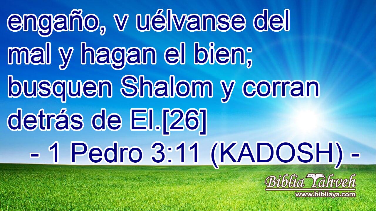  engaño, v uélvanse del mal y hagan el bien; busquen Shalom y corran detrás de El.[26] 