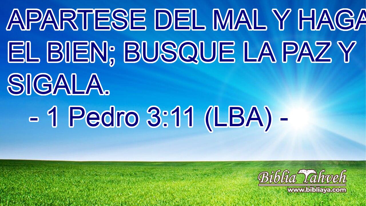 APARTESE DEL MAL Y HAGA EL BIEN; BUSQUE LA PAZ Y SIGALA.