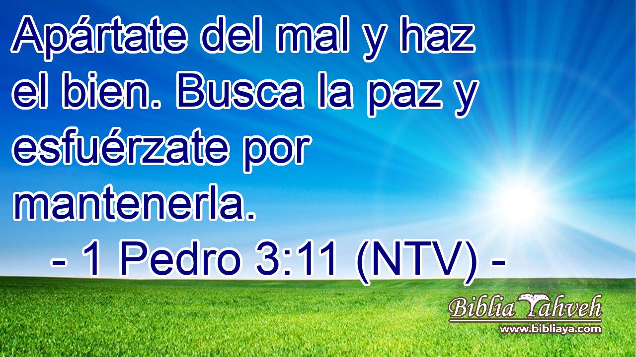 Apártate del mal y haz el bien. Busca la paz y esfuérzate por mantenerla.