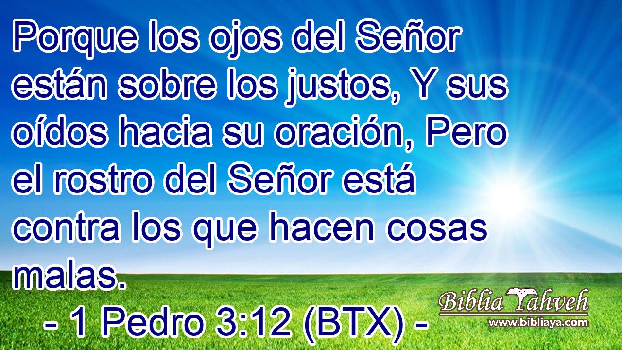 Porque los ojos del Señor están sobre los justos, Y sus oídos hacia su oración, Pero el rostro del Señor está contra los que hacen cosas malas.