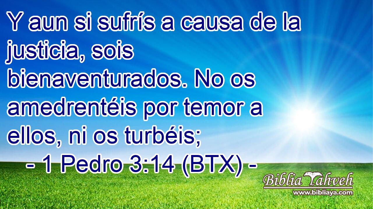 Y aun si sufrís a causa de la justicia, sois bienaventurados. No os amedrentéis por temor a ellos, ni os turbéis;