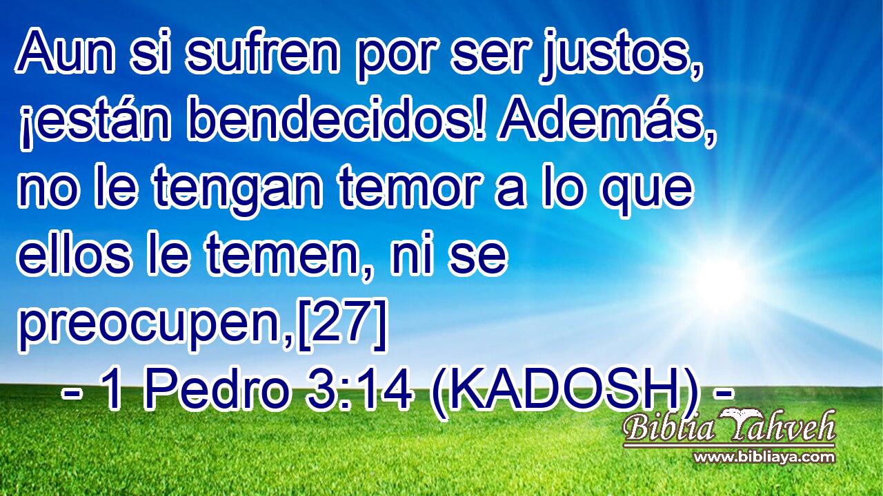  Aun si sufren por ser justos, ¡están bendecidos! Además, no le tengan temor a lo que ellos le temen, ni se preocupen,[27] 