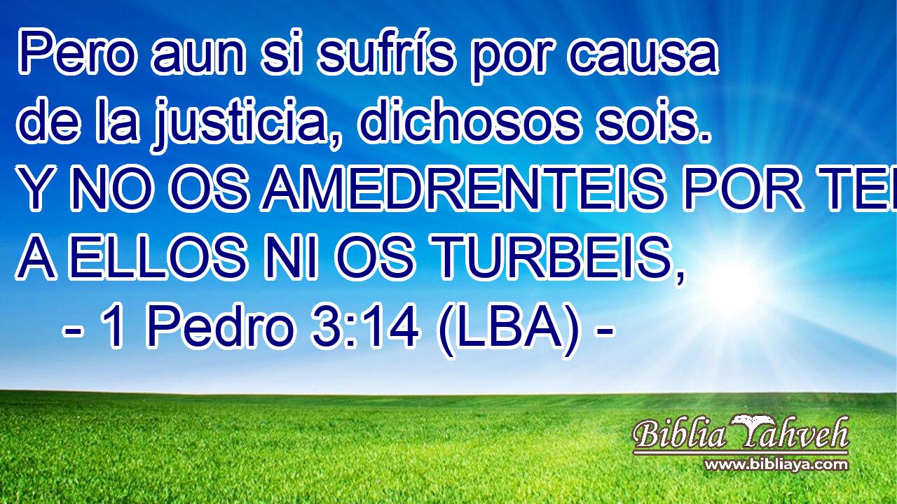 Pero aun si sufrís por causa de la justicia, dichosos sois. Y NO OS AMEDRENTEIS POR TEMOR A ELLOS NI OS TURBEIS,