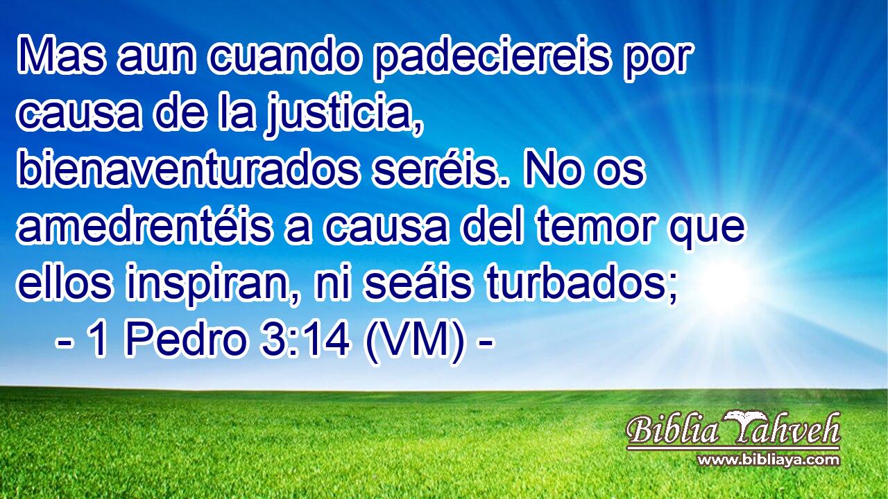  Mas aun cuando padeciereis por causa de la justicia, bienaventurados seréis. No os amedrentéis a causa del temor que ellos inspiran, ni seáis turbados; 