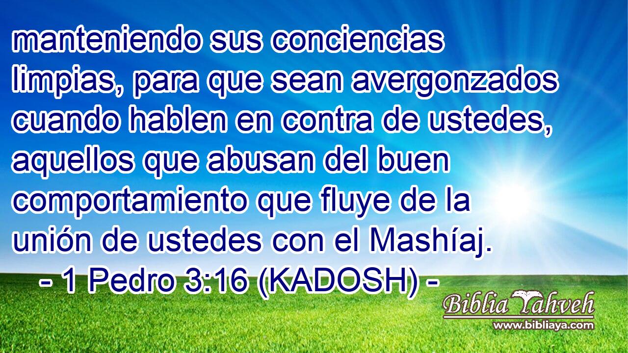  manteniendo sus conciencias limpias, para que sean avergonzados cuando hablen en contra de ustedes, aquellos que abusan del buen comportamiento que fluye de la unión de ustedes con el Mashíaj. 