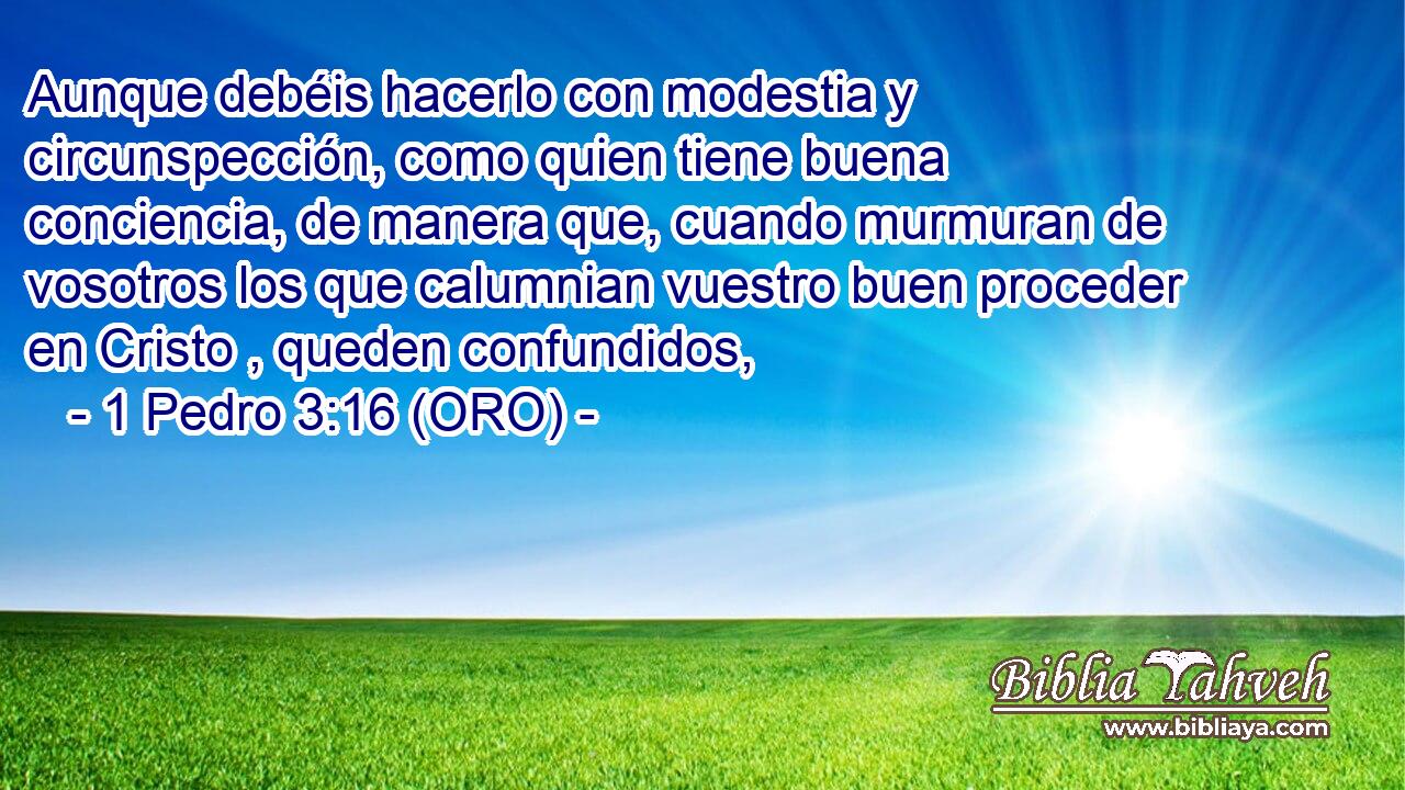  Aunque debéis hacerlo con modestia y circunspección, como quien tiene buena conciencia, de manera que, cuando murmuran de vosotros los que calumnian vuestro buen proceder en Cristo , queden confundidos, 