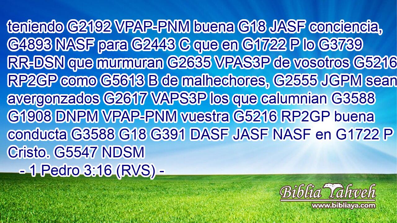 teniendo G2192 VPAP-PNM buena G18 JASF conciencia, G4893 NASF para G2443 C que en G1722 P lo G3739 RR-DSN que murmuran G2635 VPAS3P de vosotros G5216 RP2GP como G5613 B de malhechores, G2555 JGPM sean avergonzados G2617 VAPS3P los que calumnian G3588 G1908 DNPM VPAP-PNM vuestra G5216 RP2GP buena conducta G3588 G18 G391 DASF JASF NASF en G1722 P Cristo. G5547 NDSM 