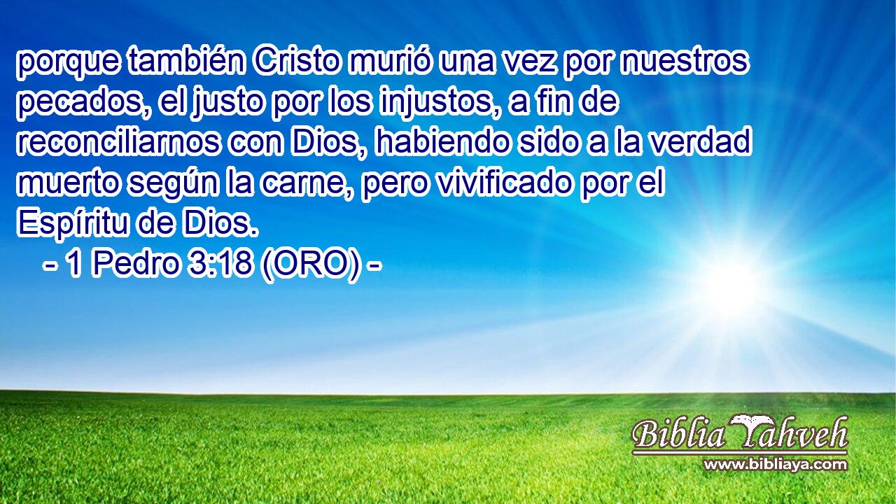  porque también Cristo murió una vez por nuestros pecados, el justo por los injustos, a fin de reconciliarnos con Dios, habiendo sido a la verdad muerto según la carne, pero vivificado por el Espíritu de Dios. 