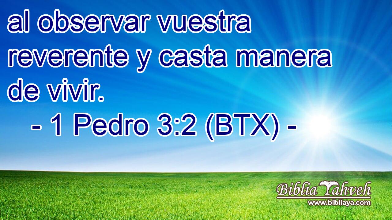 al observar vuestra reverente y casta manera de vivir.