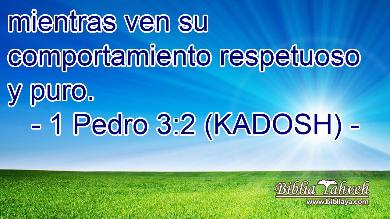  mientras ven su comportamiento respetuoso y puro. 