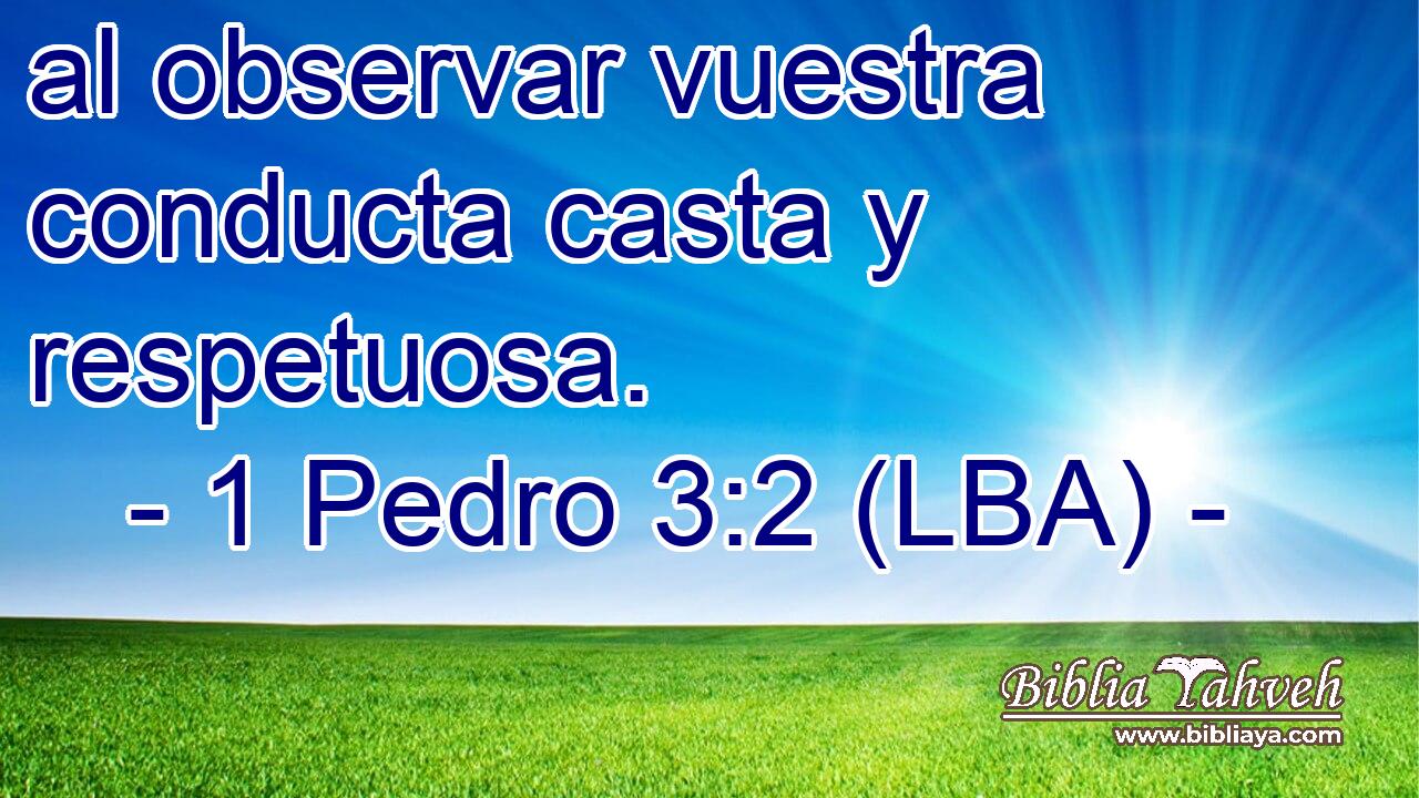 al observar vuestra conducta casta y respetuosa.