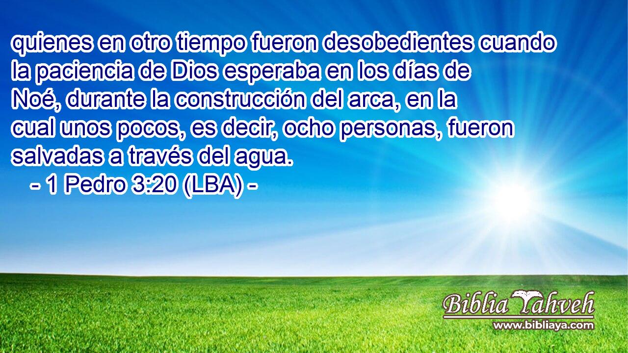 quienes en otro tiempo fueron desobedientes cuando la paciencia de Dios esperaba en los días de Noé, durante la construcción del arca, en la cual unos pocos, es decir, ocho personas, fueron salvadas a través del agua.