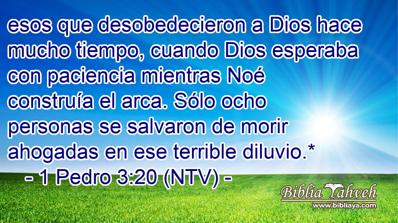 esos que desobedecieron a Dios hace mucho tiempo, cuando Dios esperaba con paciencia mientras Noé construía el arca. Sólo ocho personas se salvaron de morir ahogadas en ese terrible diluvio.*